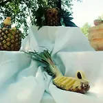 Agriturismo Le Francesche * Ночера-Умбра