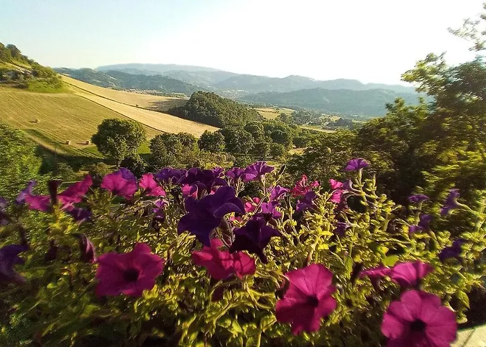 Agriturismo Le Francesche Фермерский дом